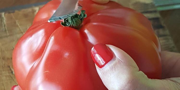 French Immersion Cooking Class Tomatoes