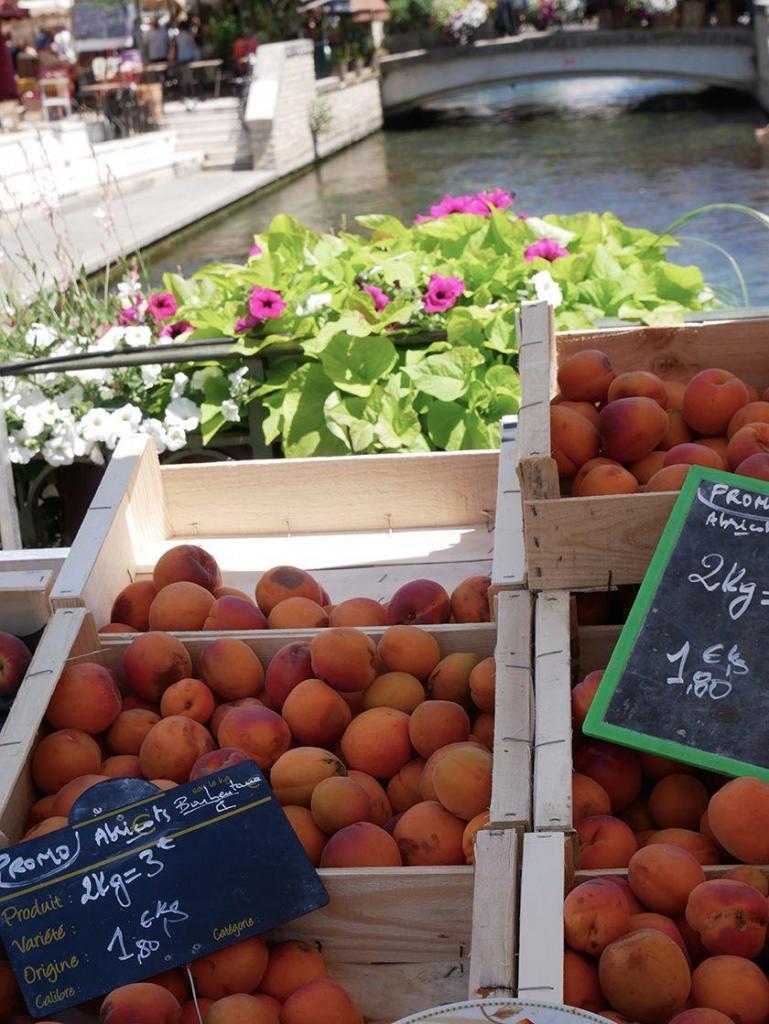 Georgeanne Brennan Market Apricots Isle sur la Sorgue