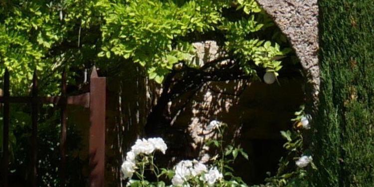 Author Georgeanne Brennan Provence Lifestyle villa entry