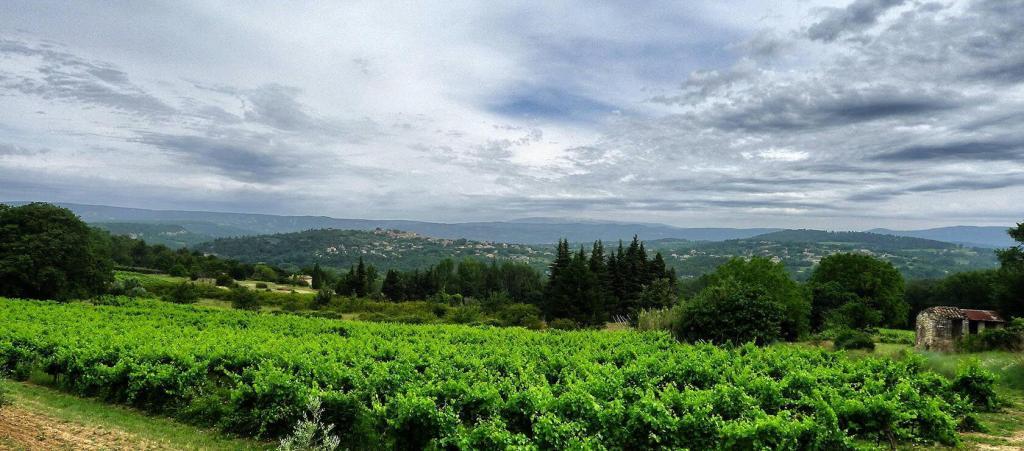 Goult Summer Rental Luberon Valley Views