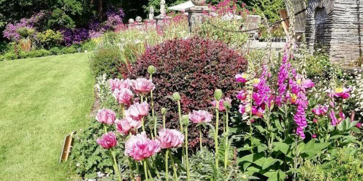 Garden Abbaye de Valsaintes