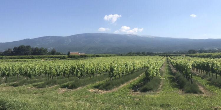 Tips Cycling Mont Ventoux