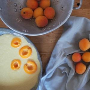 Apricot Cake Preparation