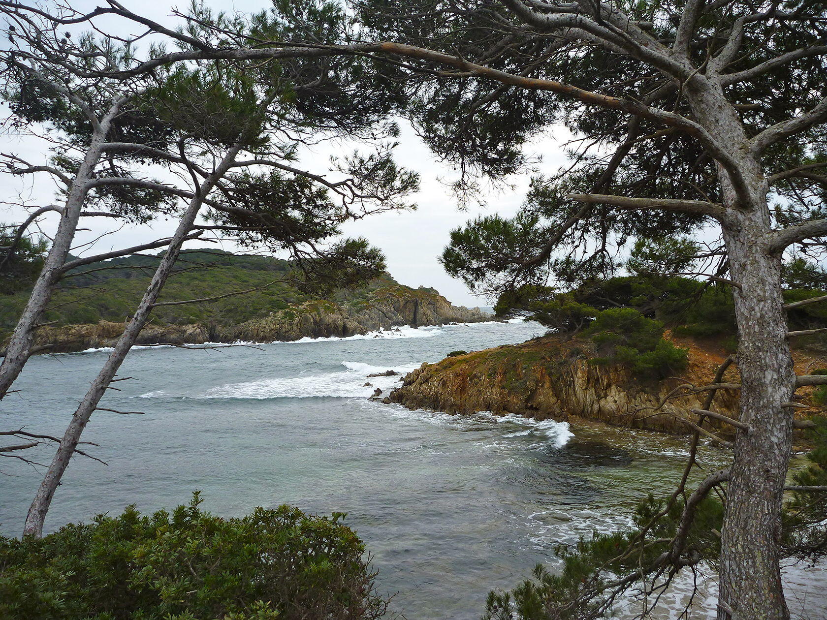 Porquerolles Provence