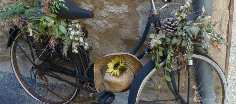 Expat Living Experiences Provence Bicycle Deborah Lawrenson