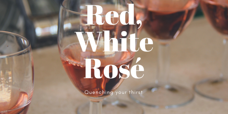 Wines of Provence Rhone Valley