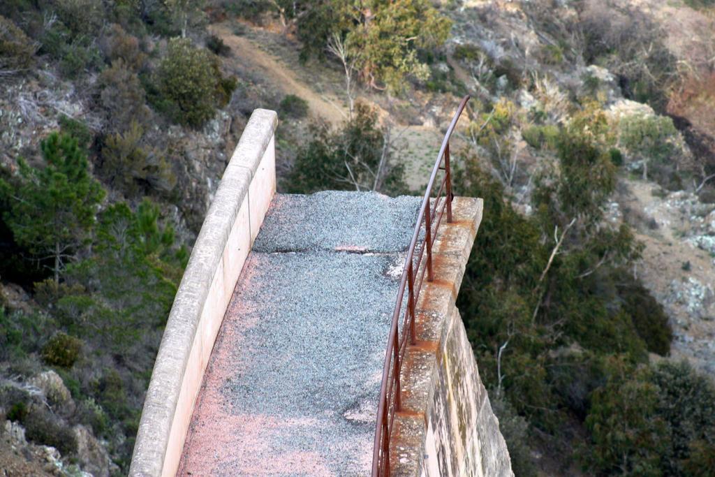 Malpasset Dam Tragedy