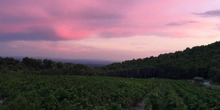 Provence Nature