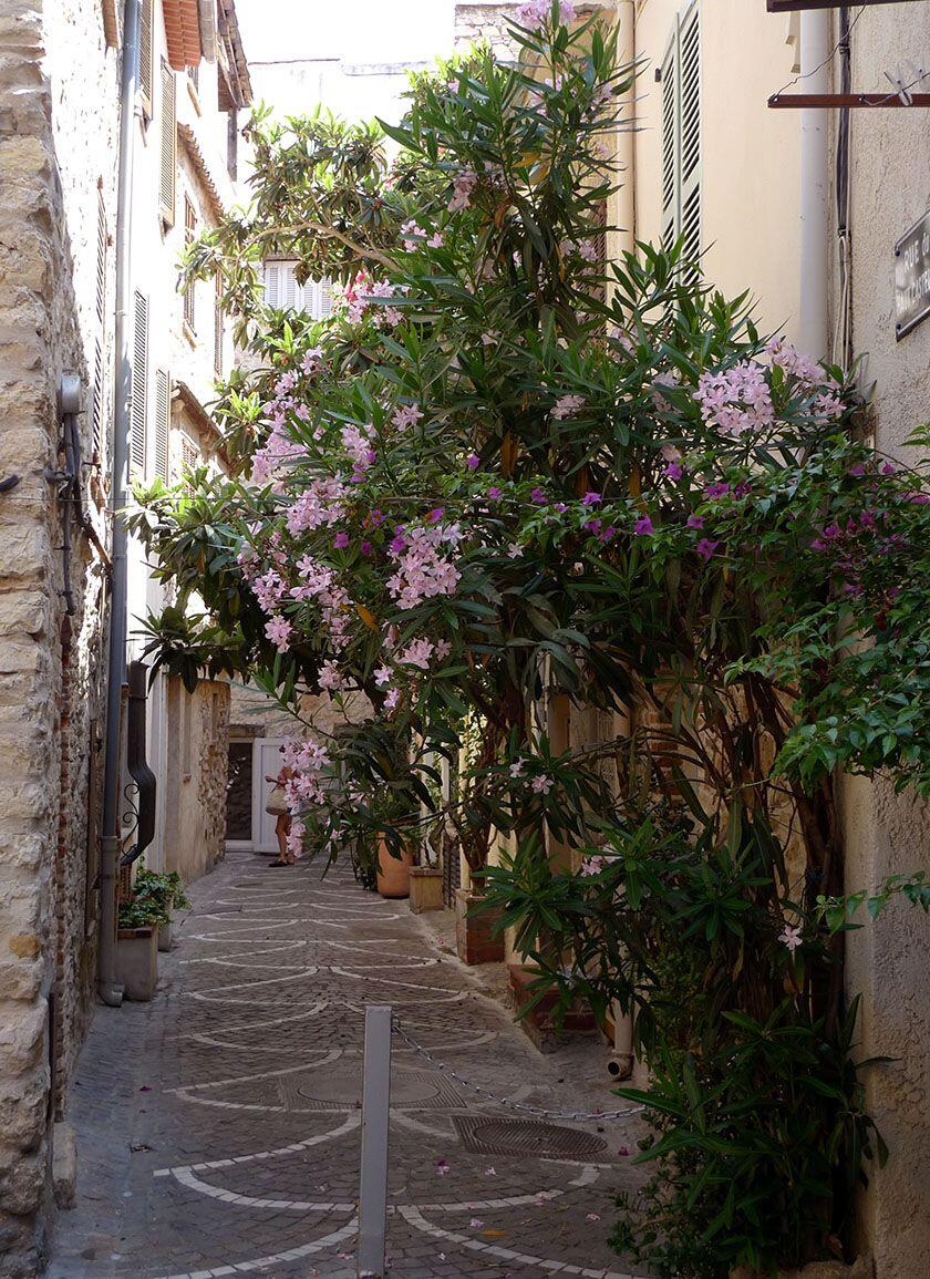 Destination Antibes French Riviera Laneways