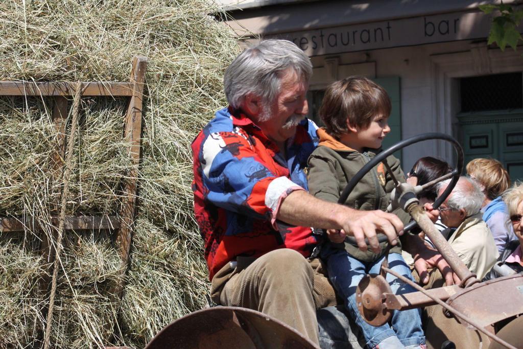 Family-Friendly Alpilles