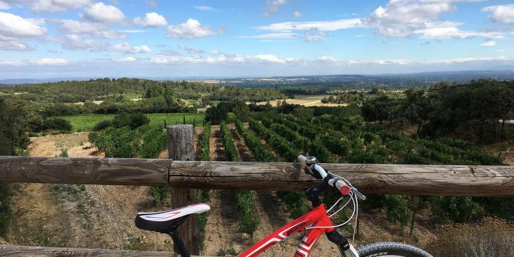 Books Guide Provence Guidebooks