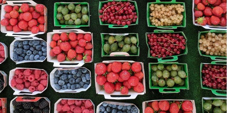 Provence Market Lifestyle Fashion Village Heart Scene