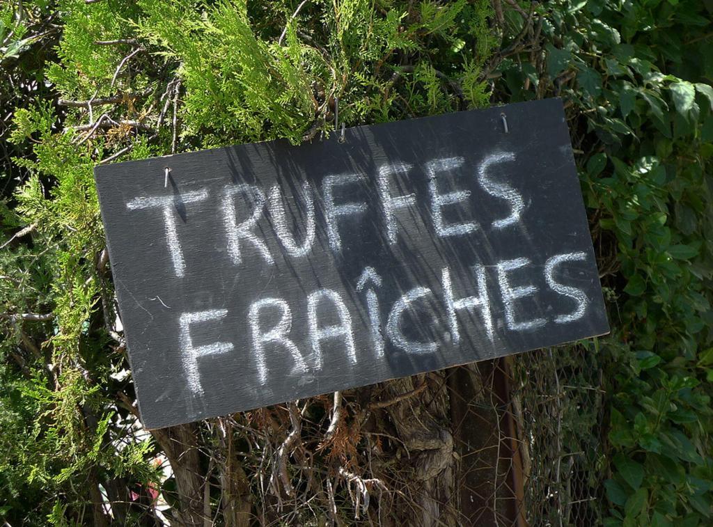Summer truffles