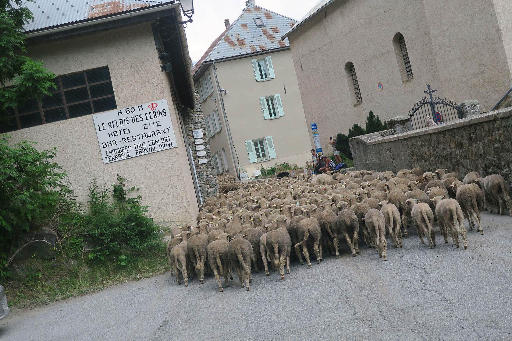 Transhumance Breeders Quality Merino Wool Provence