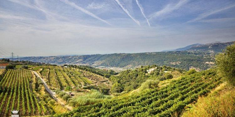 Bellet Vineyards Nice France