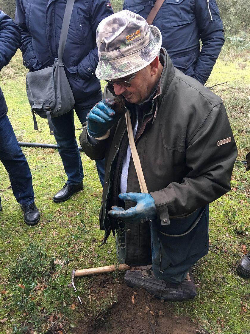 Searching Black Truffles Hunter