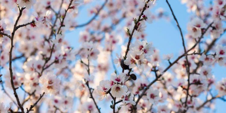 March Events Provence 2019