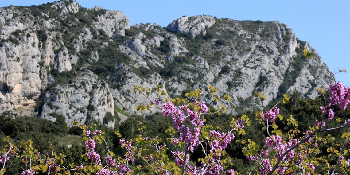 Alpilles Hiking Tips Top Summit Hikes Perfectly Provence