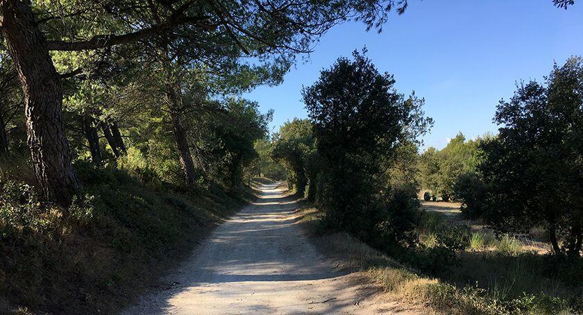 Alpilles Hiking Tips Lower route to Eygalieres