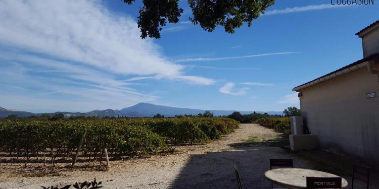 Biodynamic Wine Southern Rhone Montirius