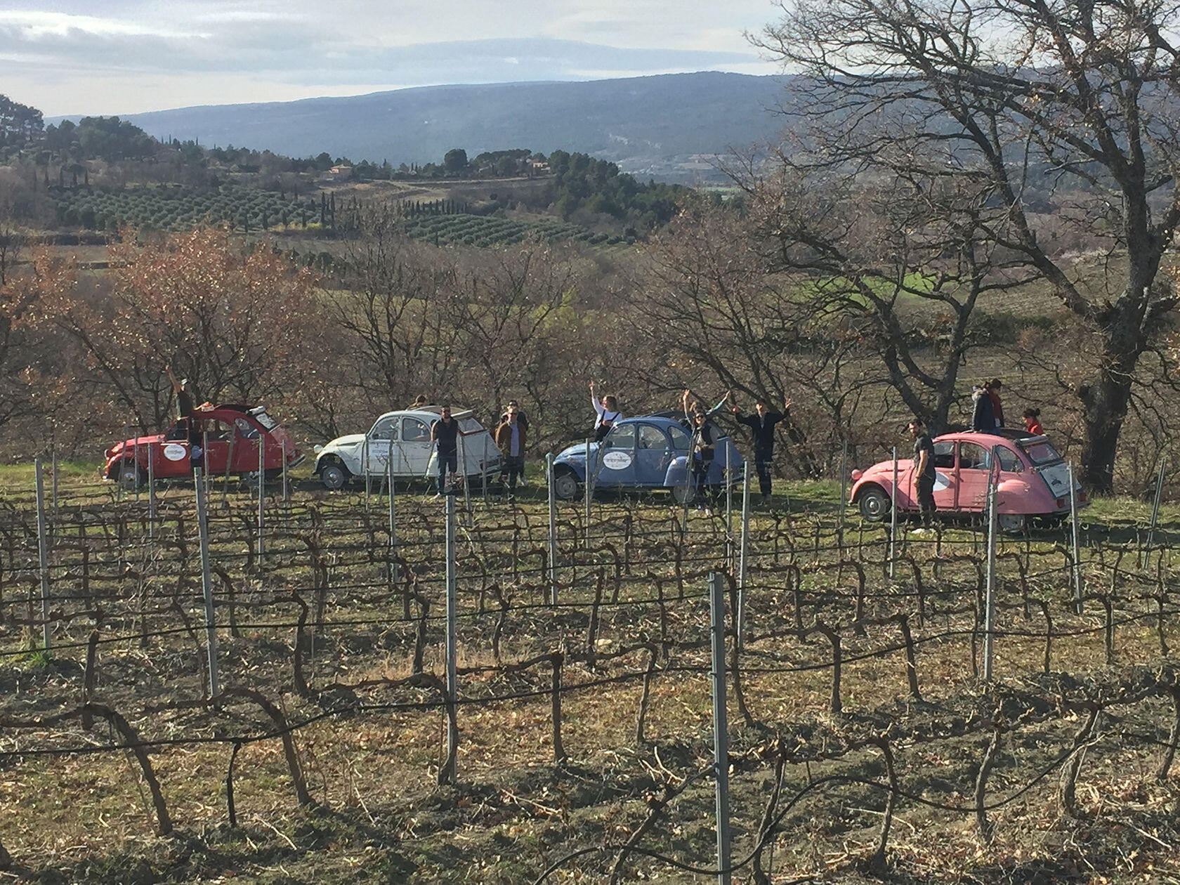 Classic French Cars 2CV Tours Provence Luberon