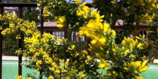 French Riviera Garden