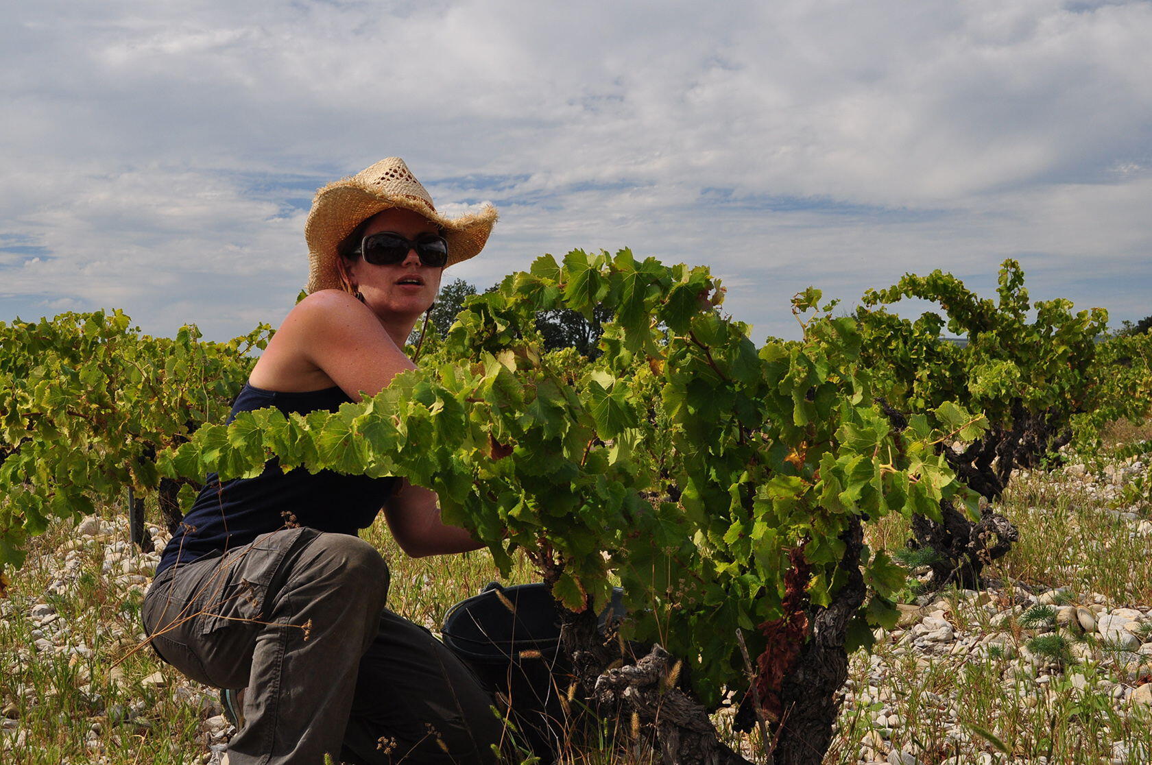 CAROLINE JONES OWNER WINEMAKER Domaine Rouge-Bleu