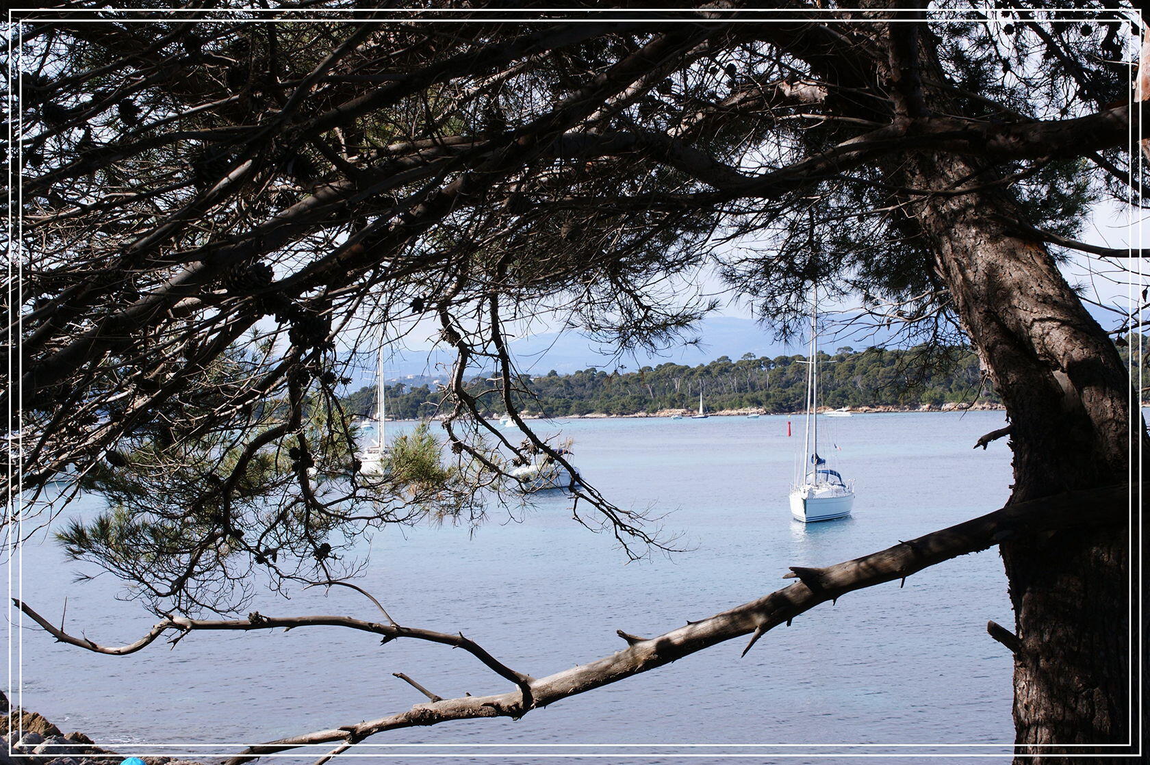 Cannes Boats Top French Riviera en Famille