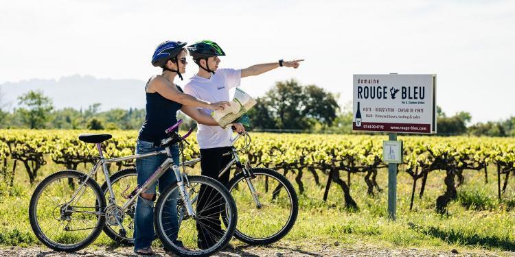 Domaine Rouge-Bleu Vineyard Nature shot