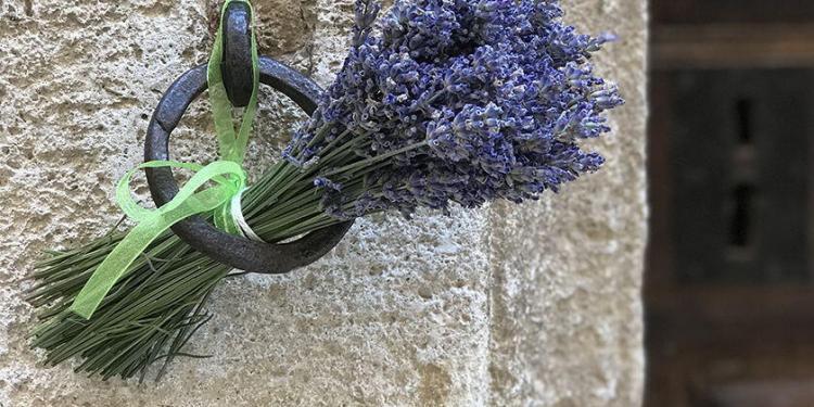 June Lavender Tour Provence
