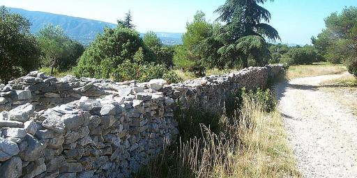Mur de la Pest Plague Wall Provence Peste