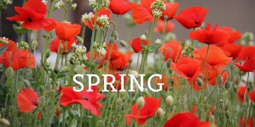 Spring Events in Provence