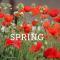 Spring Events in Provence