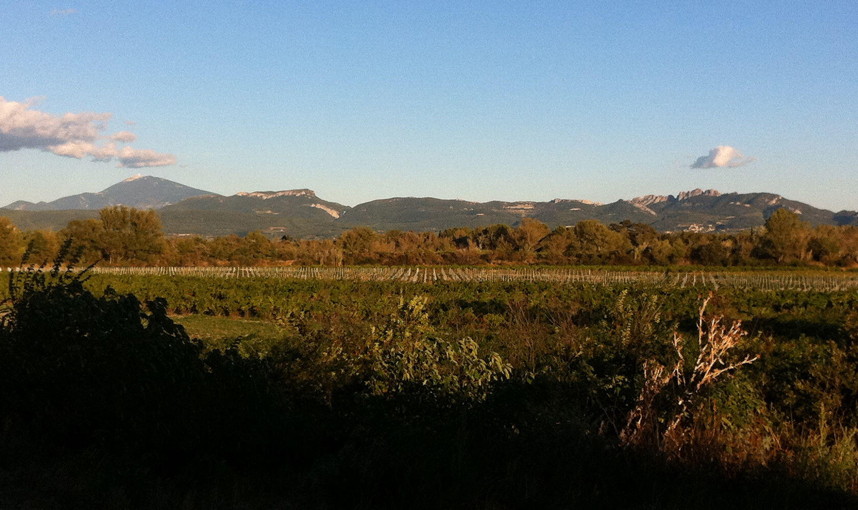 Vaucluse VIEWs Domaine Rouge-Bleu Vineyard