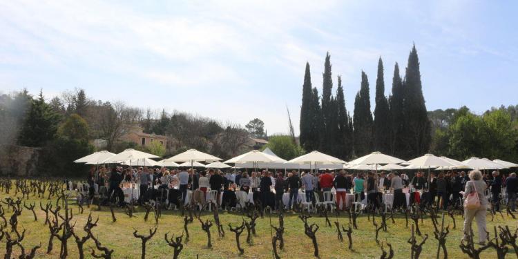 Wine Coteaux Varois Tasting