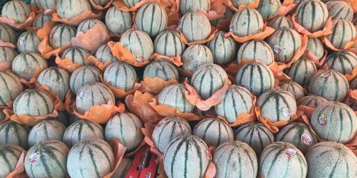 Market Cavaillon melons Provence