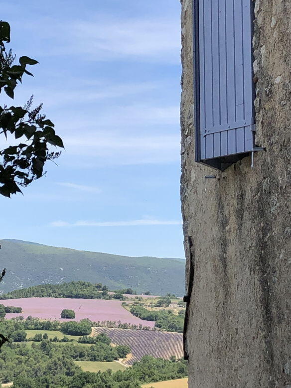 Lavender Seasons Provence