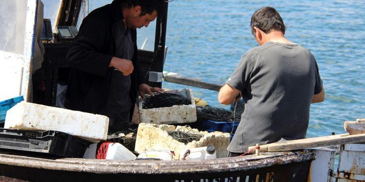 Marseille Food Lovers Video