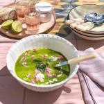 Green Melon Gazpacho Chilled Soup