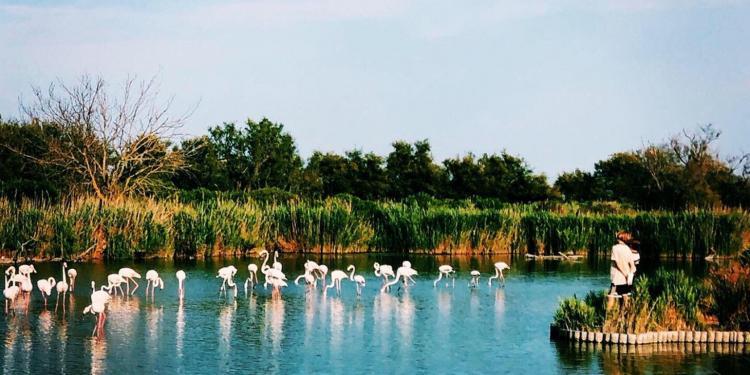 Adventures Camargue Kids