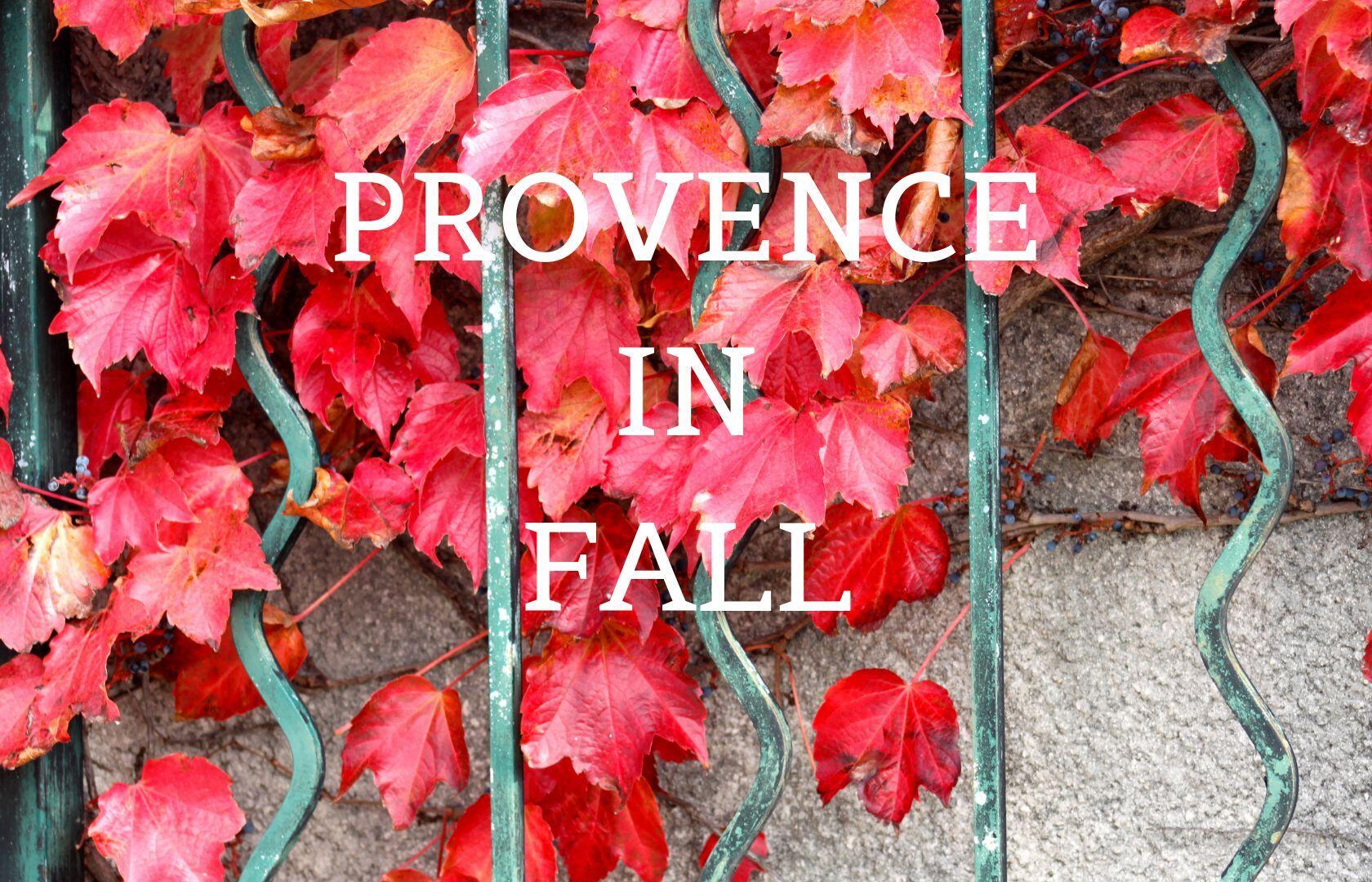 Provence Fall Festivals 2019