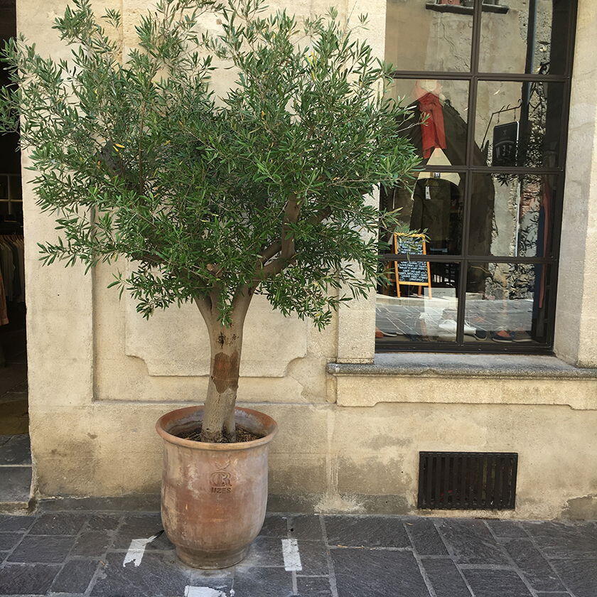 Discovering Provencal Pottery Traditions Uzes