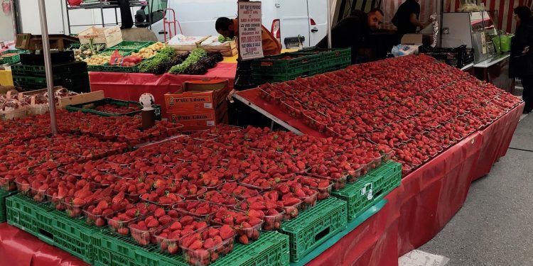 Market strawberries Spend Day St-Rémy-de-Provence Market