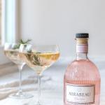 Cocktail Rosé Gin Fizz