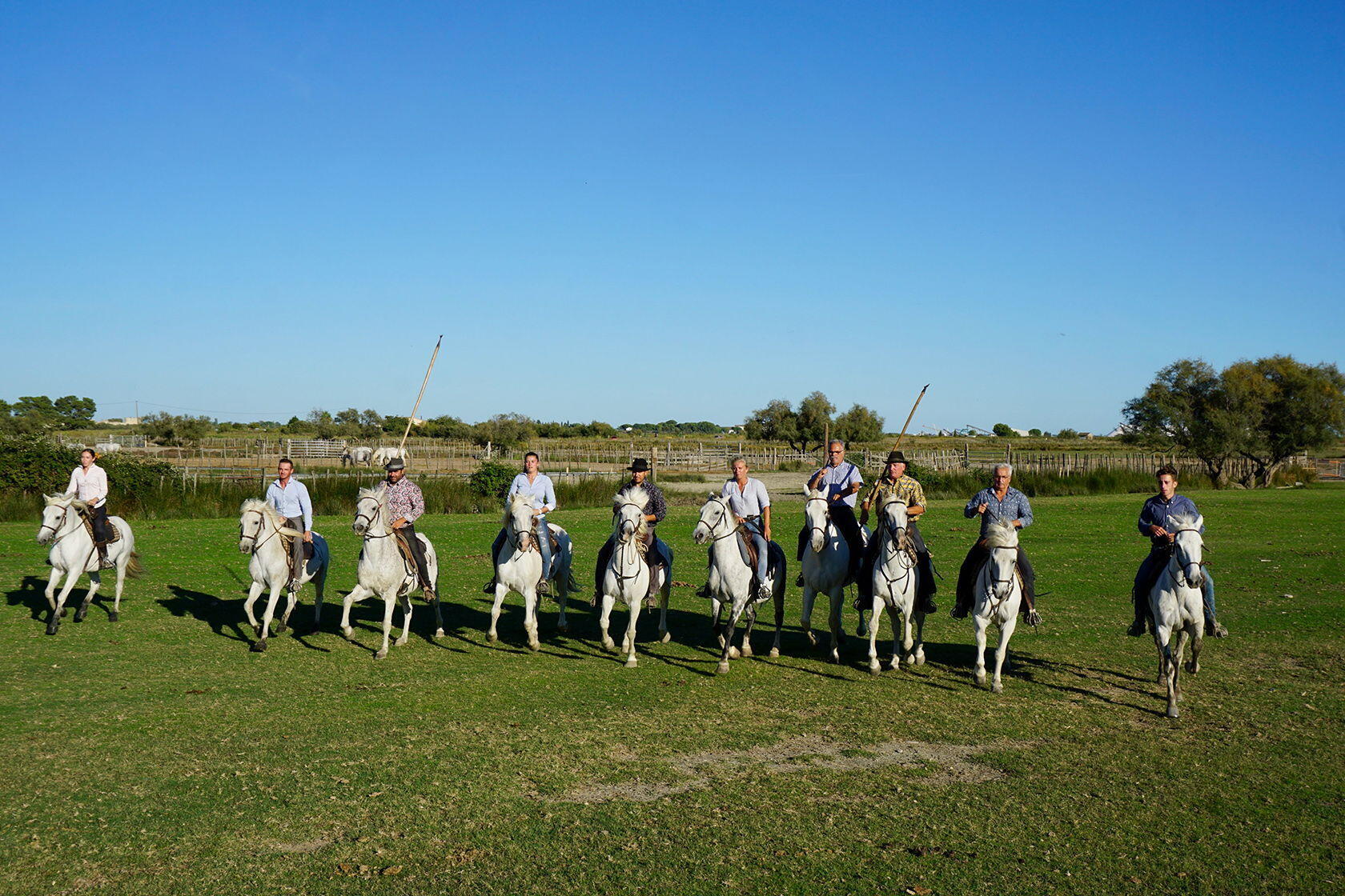 Explore Southern France Tours TripUSAFrance Camargue Manade