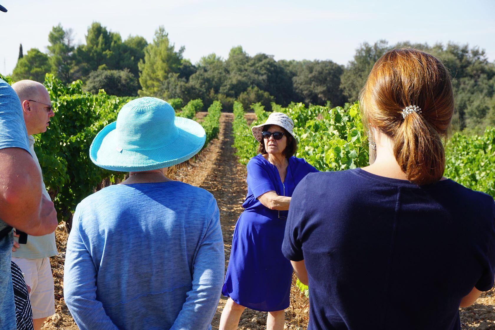 TripUSAFrance Explore Southern France Tours Vineyards