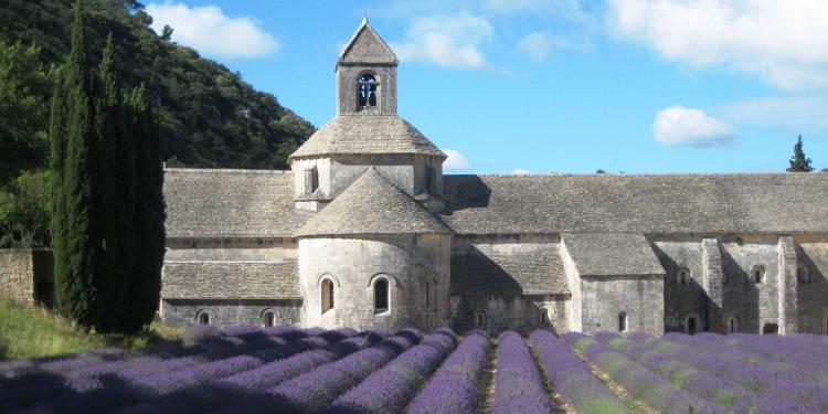 Abbaye de Senanque Lavender Luberon Valley