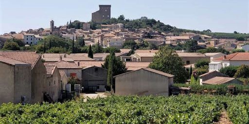 Châteauneuf-du-Pape Wine Domaine de la Charbonnière