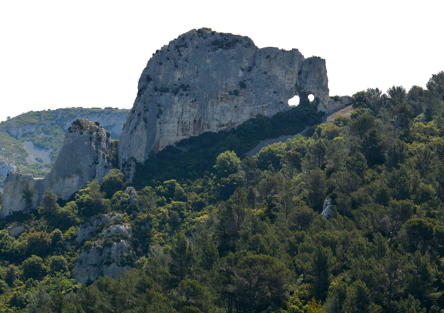 Living in St Remy de Provence in the Alpilles - Perfectly Provence 