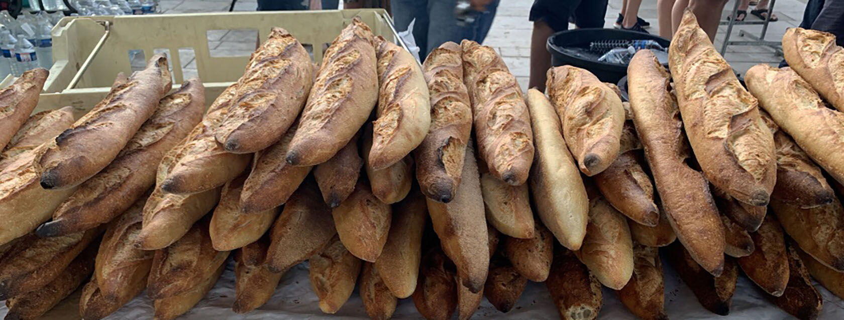 Baguette Bread in Provence